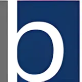 Bravo Ship Management Logo