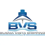 Buena Vista Shipping Logo