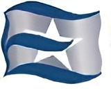 Executive Ship Management Logo
