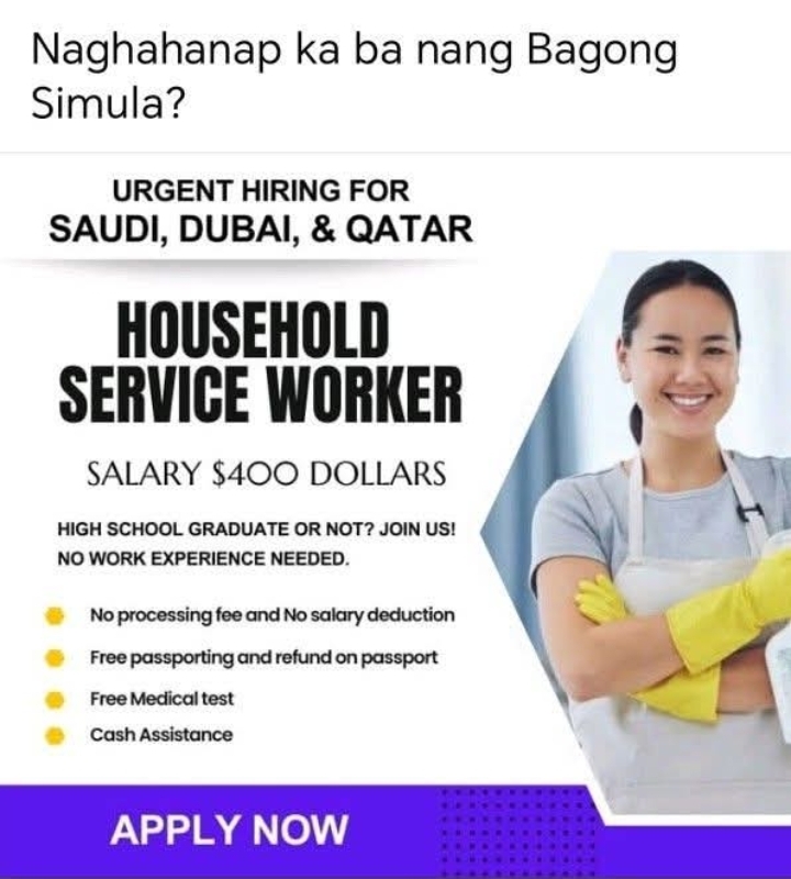 Excel Inc. - Domestic Helper