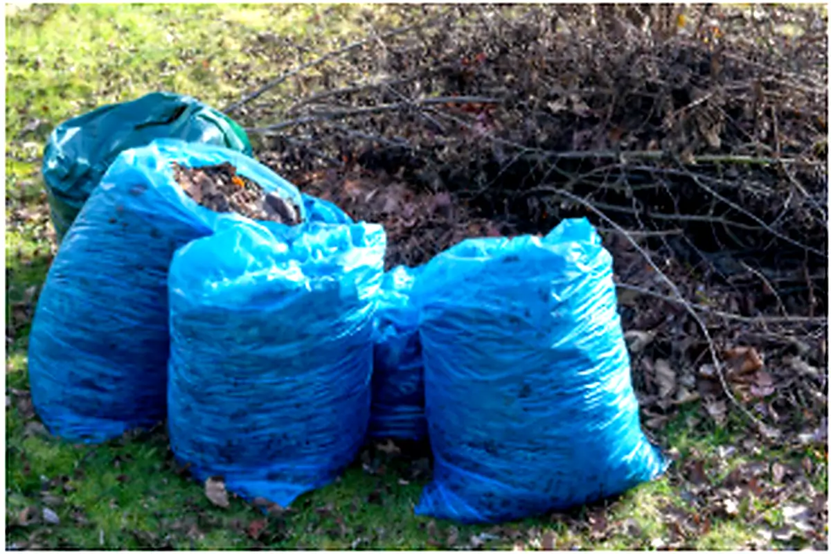 Garden Refuse Removal Johannesburg Project