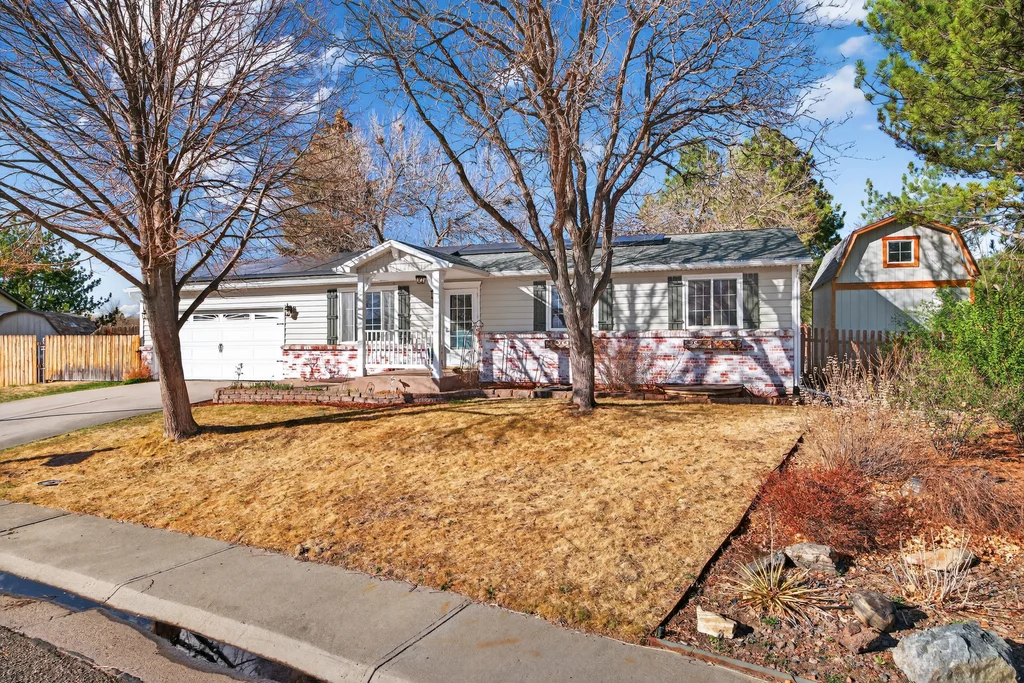 003JohnsonCreative0016