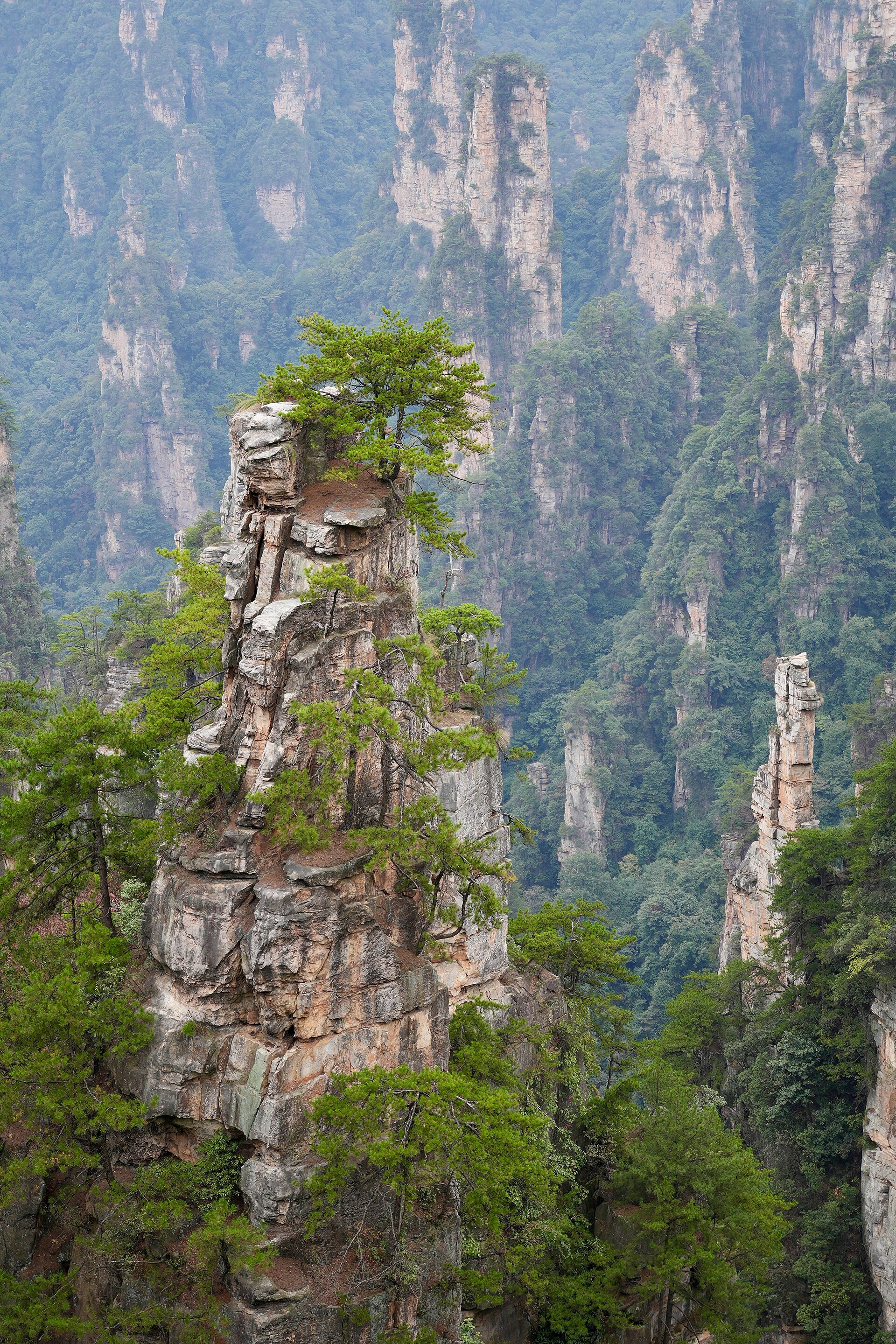 Zhangjiajie Group Trip — 8D/7N — Zhangjiajie