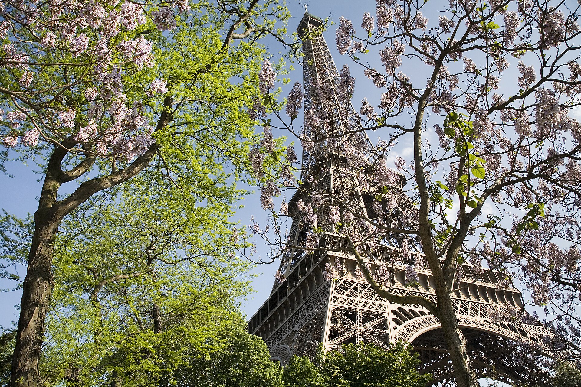 Paris Group Trip — 9D/8N — Paris