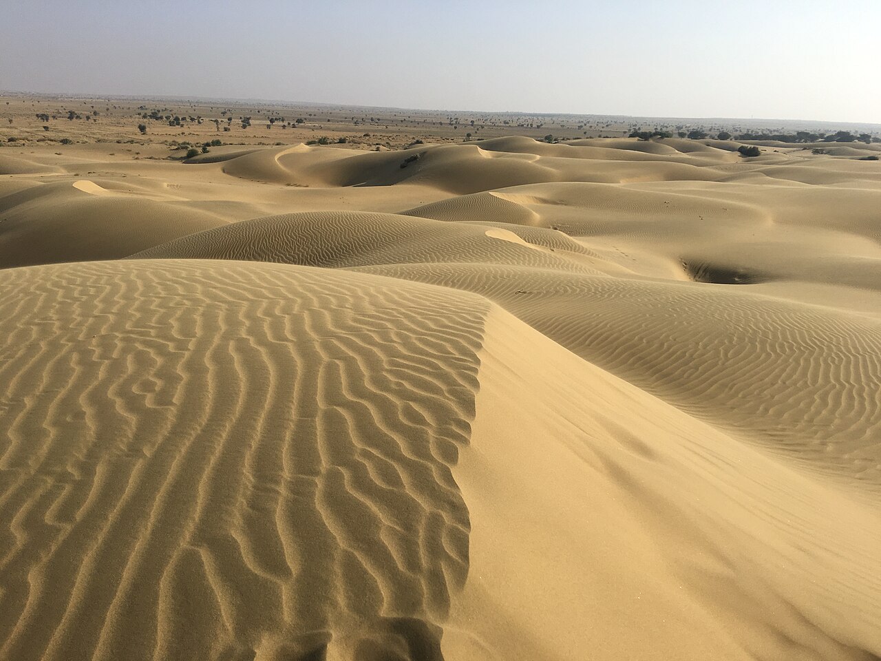 Desert camp nights in Jaisalmer — representative scenery