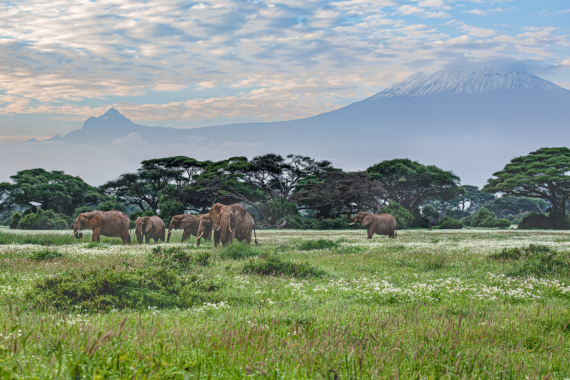 Amboseli Trek — 8 Days — Amboseli