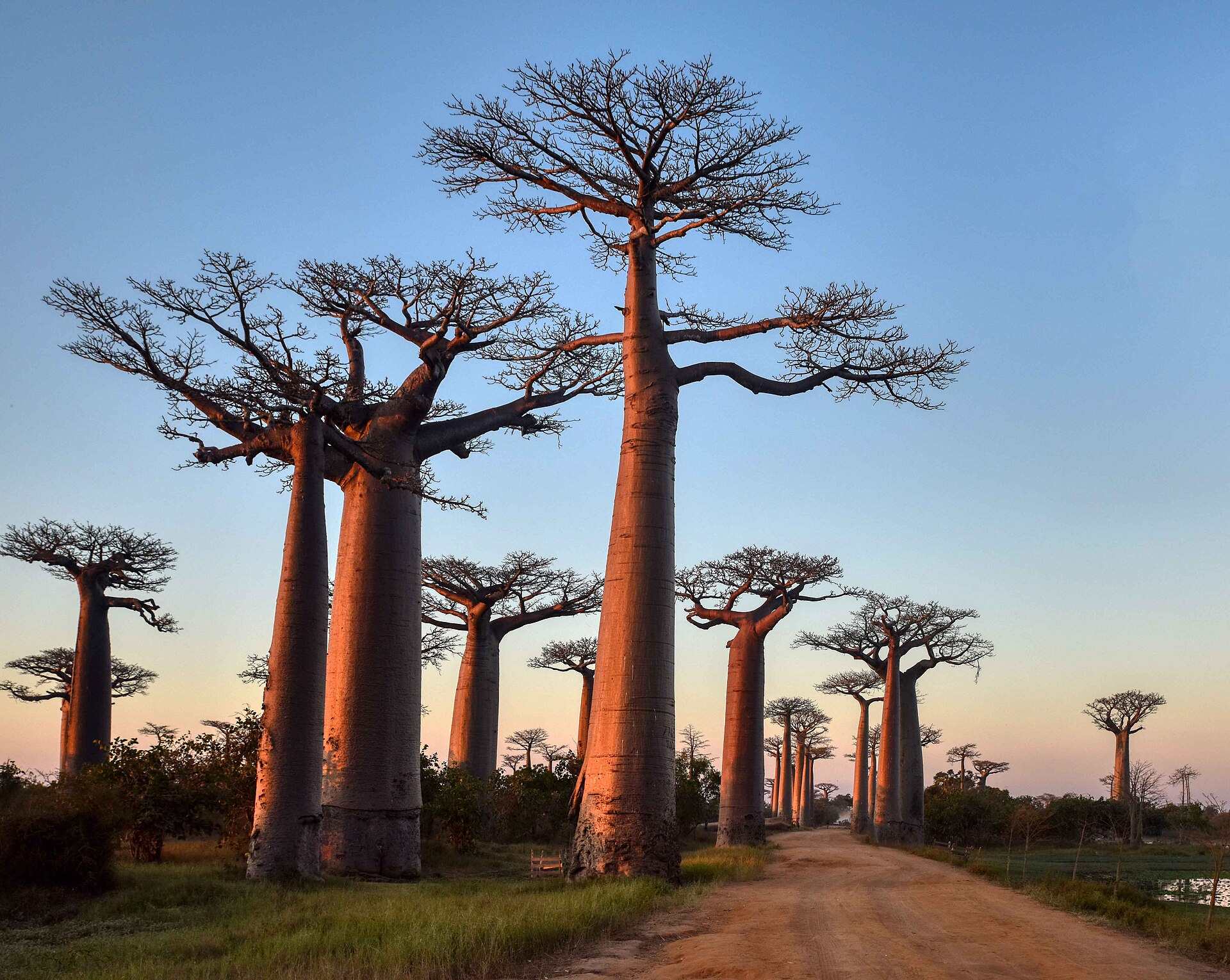 Madagascar Group Trip — 8D/7N — Madagascar