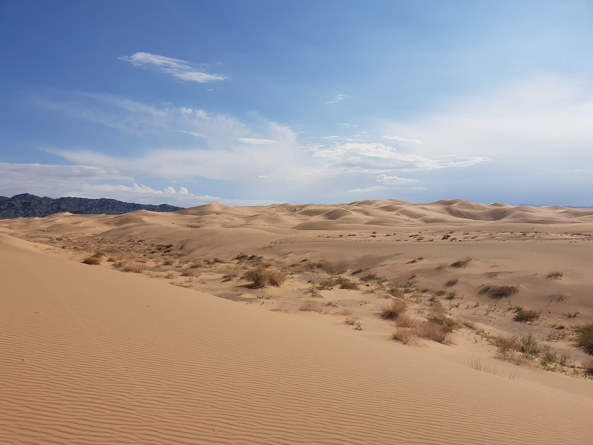 Mongolia Desert Camp — 10D/9N — Mongolia