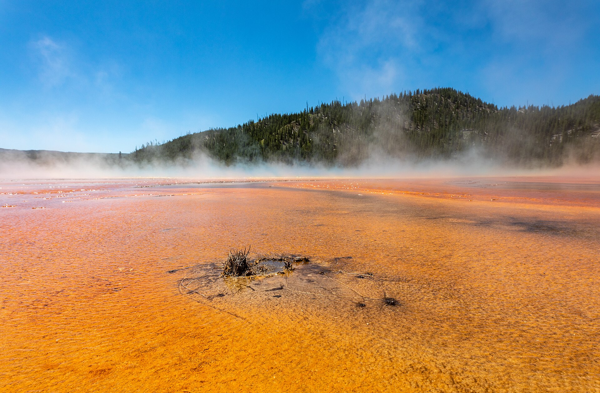 Yellowstone Group Trip — 7D/6N — Yellowstone