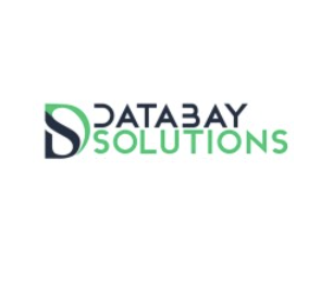Databay Solutions logo