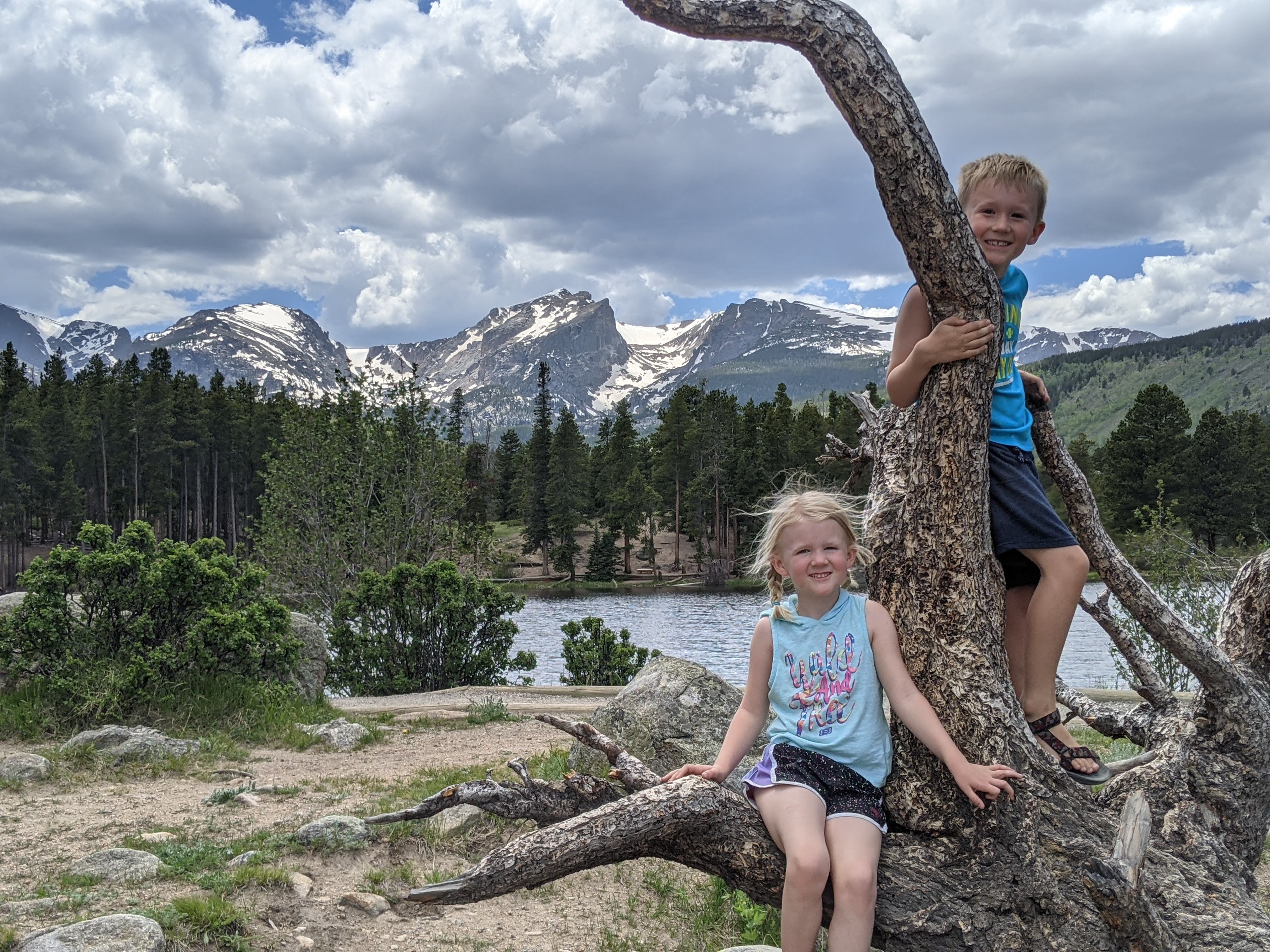 Photo of Rocky & Grayson in Tree in Rocky Mountain National Park