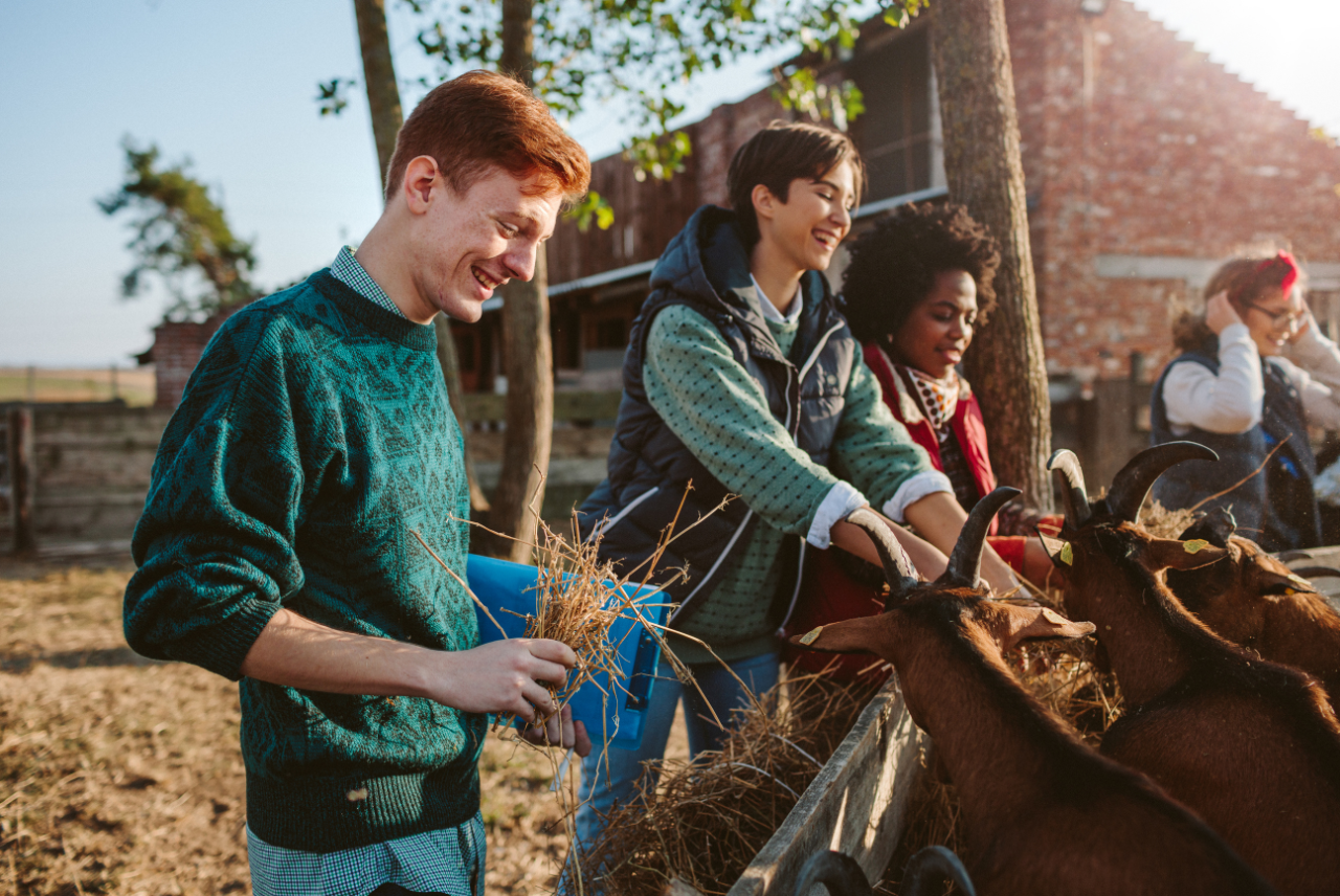 Benefits of Volunteering with Wildlife