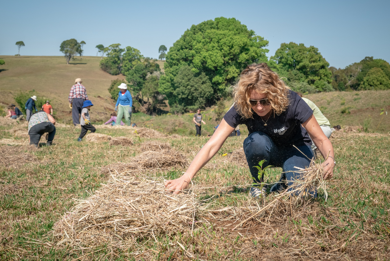Key Activities for Volunteers