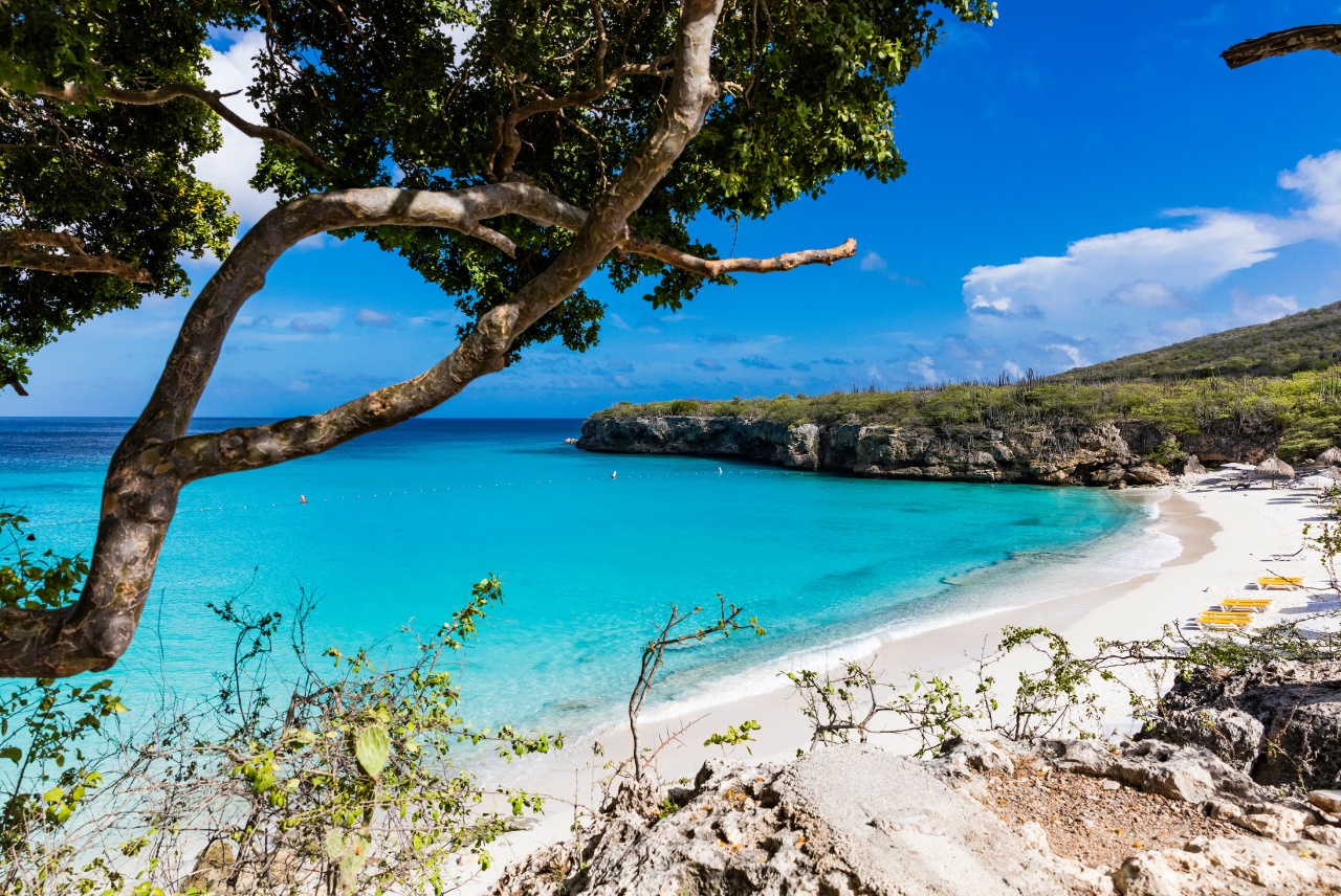 Best Time for Marine Conservation in Australia