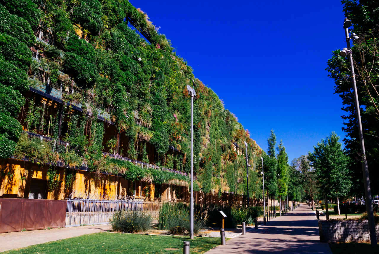 Benefits of Studying Sustainable Design in Denmark