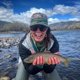 Allison Brennan's profile photo