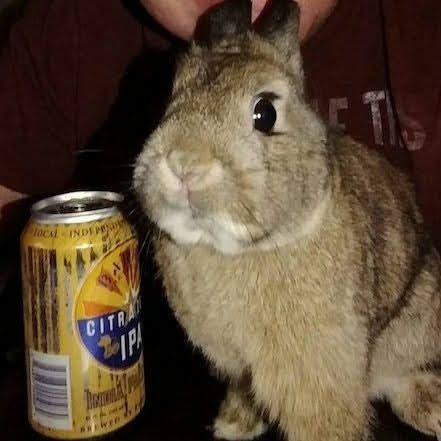 Brian Pedersen's profile photo