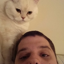 Joe Flynn's profile photo