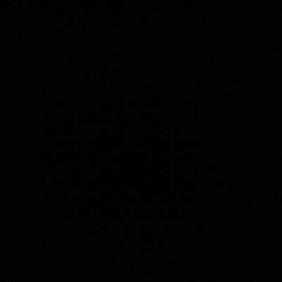 Isheka N. Harrison's profile photo