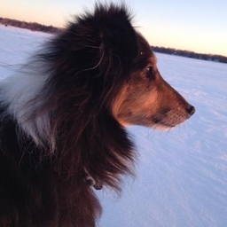 Bob Timmons's profile photo