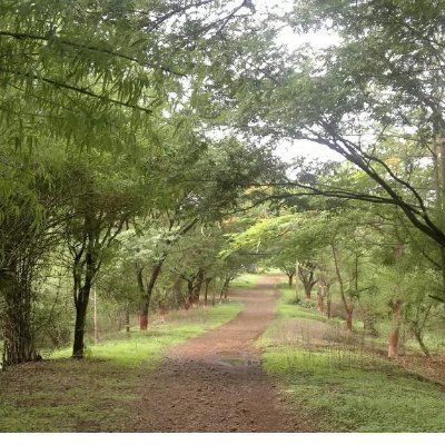 Dharamraj Lalit Dhutia's profile photo