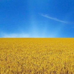 William Ehart's profile photo