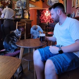 Harry Manning's profile photo