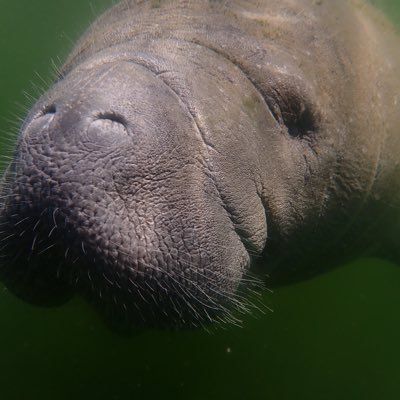 Kathleen Wallace's profile photo