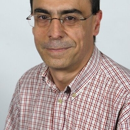 Amador Gómez's profile photo