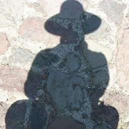 Kimberley Brown's journalist profile photo