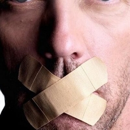 David Bauer's profile photo