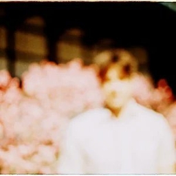 Jay Honeycomb's profile photo