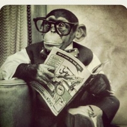 Leigh Henningham's profile photo