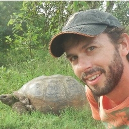 Regis St. Louis's journalist profile photo