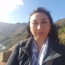 Valerie Volcovici's profile photo