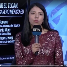 Ivette Saldaña's profile photo