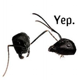 Eleanor Spicer Rice's profile photo