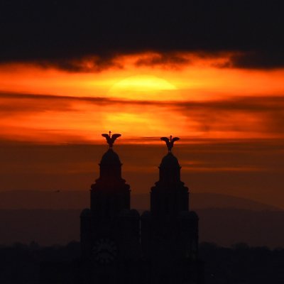 Tom Duffy's profile photo