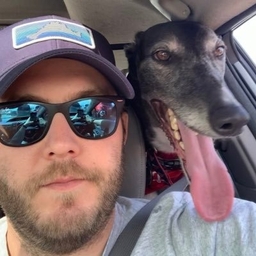Mike Cole's profile photo