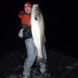 Toby Lapinski's profile photo