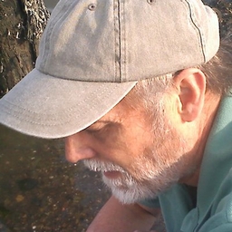 Dana Wilde's profile photo