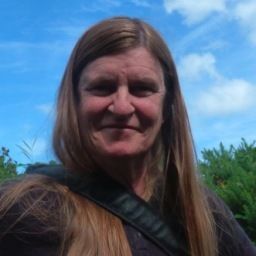 K.C. Mehaffey's profile photo