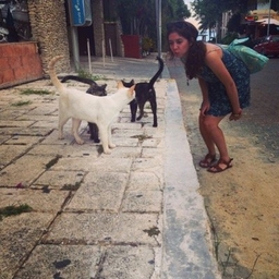 Megh Wright's profile photo