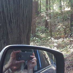 Lorraine Dechter's profile photo