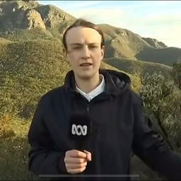 Kit Mochan's profile photo