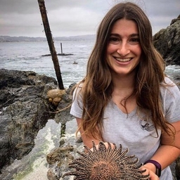 Amanda Heidt's profile photo