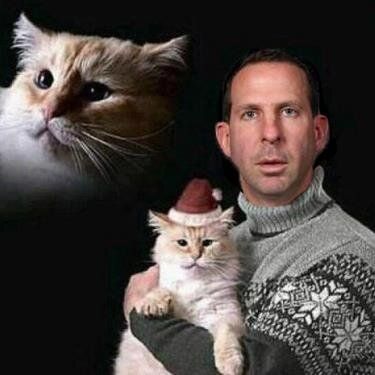 Faux Pelini's profile photo