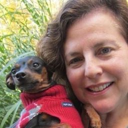 Karen Angel's profile photo