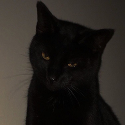 Mark Almond's profile photo
