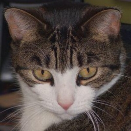 Katherine Derbyshire's profile photo
